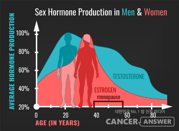남성 호르몬인 테스토스테론이 많은 여성은 2형 당뇨병이나 유방암,자궁내막암 발병 위험이 높아진다는 연구가 나왔다./게티이미지 뱅크