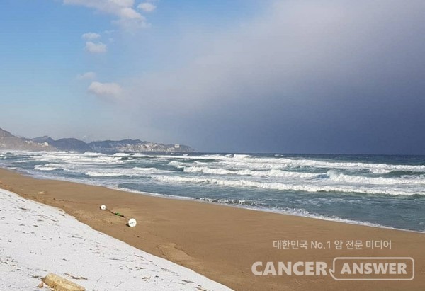 암 치유는 지금 있는 그대로의 나를 냉정하게 바라보는 데서 시작된다. 그 누구도 아닌 내 자신이 치유 과정을 주도할 때, 비로소 암을 이길 수 있는 힘이 생긴다.