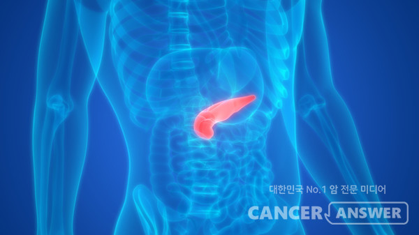 췌장은 우리 몸 가장 깊숙한 곳에 자리 잡고 있어서 암 진단과 치료가 쉽지 않다./게티이미지 뱅크