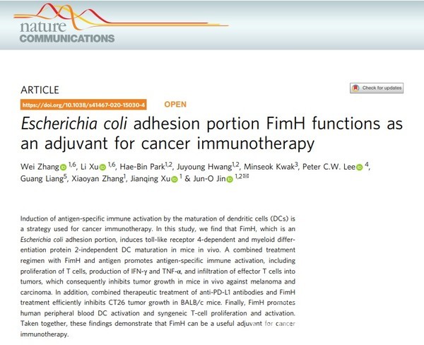 국내 연구진이 암 성장은 억제시키고, 면역력은 높이는 물질을 발견했다. /네이처 커뮤니케이션즈.