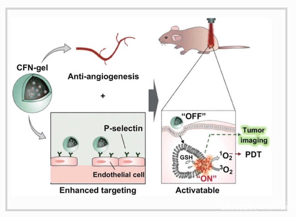 'Nano-Micro Letters’ 2월호에 실린 쥐실험 개념도./ Nano-Micro Letters 캡처
