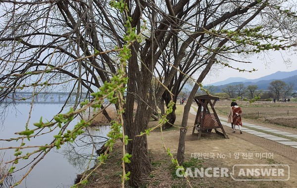 아내로, 엄마로, 며느리로 암 치료를 받는 일은 힘들었지만, 가족이 있었기에 이길 수 있었다.