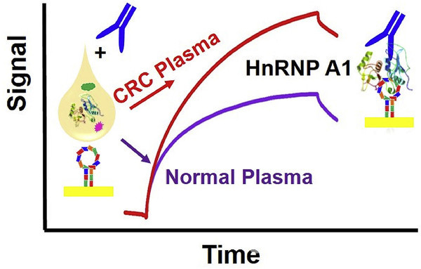 국내 연구진들이 소량의 혈액으로 대장암을 진단할 수 있는 기술을 개발했다. /바이오센서 및 바이오일렉트로닉스 학술지 캡처