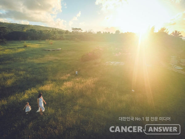 햇빛만 잘 쬐어도 우리 몸속 면역력이 증진된다. /게티이미지 뱅크