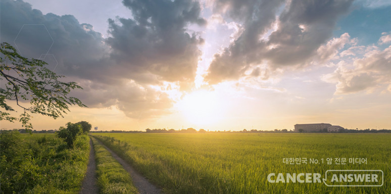 품질 좋은 쿠바 사탕수수에서 추출된 폴리코사놀은 혈관의 건강함을 유지해주는 HDL 콜레스테롤 생성에 도움을 준다는 연구결과가 많다. / 레이델 홈페이지 캡처