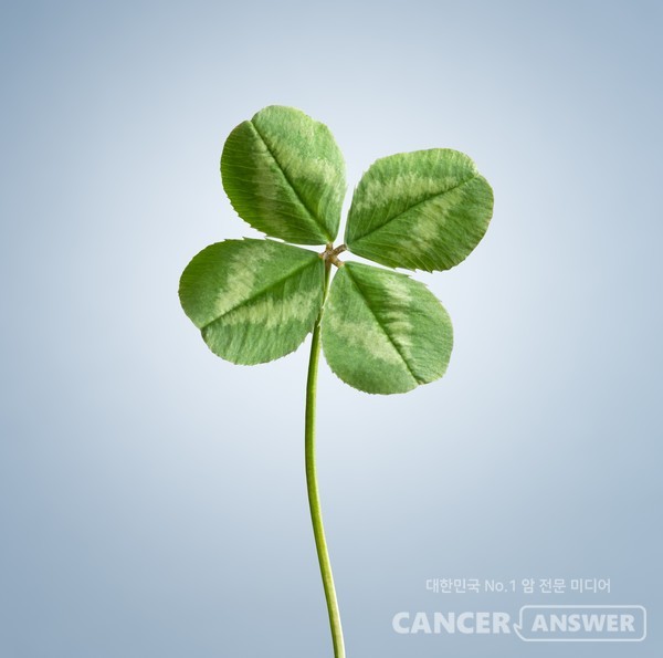 게티이미지 뱅크