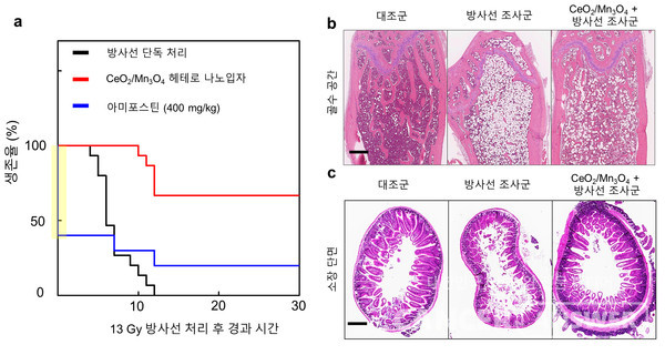 기초과학연구원과 서울대 공동연구팀이 방사선으로부터 전신을 보호할 수 있는 보호제를 개발했다. 그림은 합성된 나노입자의 방사선 보호제로서 활용 가능성을 확인한 모습. /기초과학연구원.