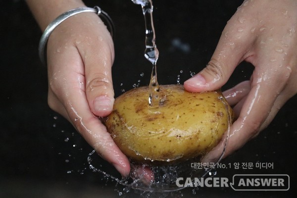 여름철 식중독 주범은 채소다. 채소는 익혀 먹는 게 좋고 흐르는 물에 여러번 씻고 식초 등에 5분간 담가둔 후 조리하거나 섭취한다. /픽사베이