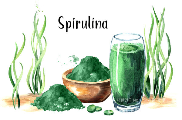 슈퍼푸드로 알려진 해조류 스피루리나. 60~70프로가 식물성 단백질로 구성된 스피루리나는 항산화 성분이 풍부하다./게티이미지뱅크