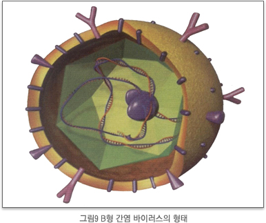 삼성서울병원 암교육센터 캡처.