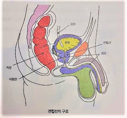 사진=세브란스병원 메디컬북스 '전립선암 완치설명서'.