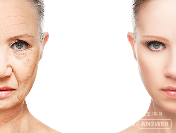 장수 유전자라고 불리는 '시르투인(sirtuin)'의 발견이 노화를 막을 열쇠로 주목 받고 있다. /게티이미지 뱅크