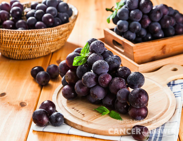 미국의 엠디앤더슨 암센터는 청포도보다는 적포도에 레스베라트롤 함류량이 더 높으니 화이트 와인보다는 레드 와인을 마시기를 조언한다. /게티이미지뱅크