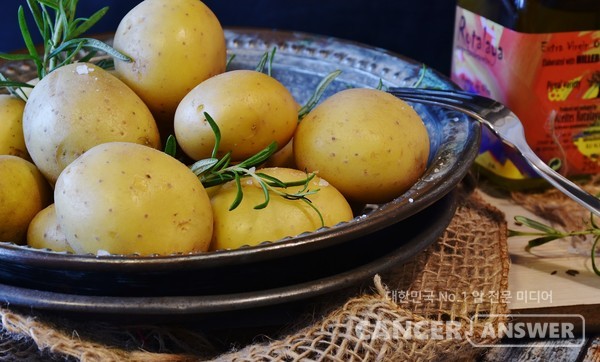 감자도 저항성 전분이 많은 식품이다. 단 따뜻한 감자가 아닌 식은 감자로 먹어야 한다. /픽사베이