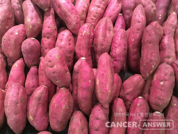 달달한 맛이 일품인 고구마는 영양학적인 측면으로 봤을 때 항암 식품이라고 할 정도로 발암 억제율이 높다. /픽사베이