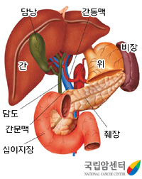 /국가암센터