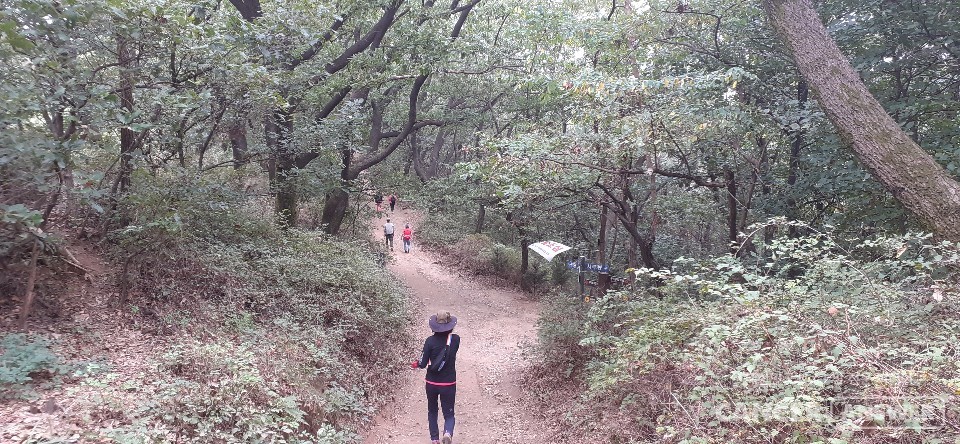 지친 심신을 달래주고 활력을 재충전하기 위해서는 유산소 운동이 유익하다. 근처의 공원이나 가깝고 완만한 산을 찾아 산책을 하면 기분전환과 스트레스 탈출에 큰 도움이 된다.