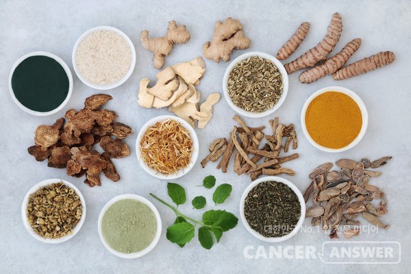 위가 약하면 '황기·당귀', 열이 많으면 '복분자', 기관지가 약하면 '도라지', 혈액 순환에는 '오가피' 등이 좋다. /게티이미지뱅크