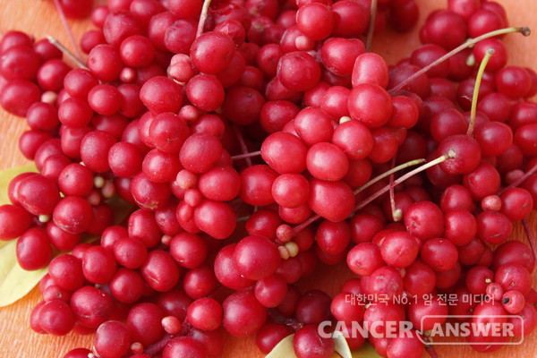오마자는 근육과 뼈의 노화를 개선하는 효과가 있다. /게티이미지뱅크