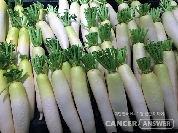 무에는 비타민C와 칼슘 그리고 대표적인 항암 성분인 글루코시놀레이트가 풍부하다. /픽사베이