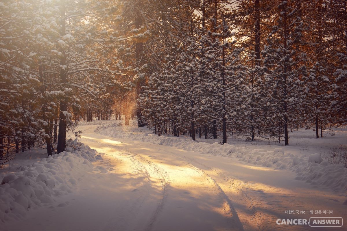 겨울달리기는 가장 나다운 나, 인간다운 인간을 체험하게 해준다. / Unsplash