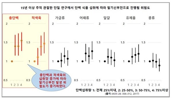 고단백 음식 섭취로 인한 신장 기능저하를 보여주는 연구 결과./대한신장학회 제공