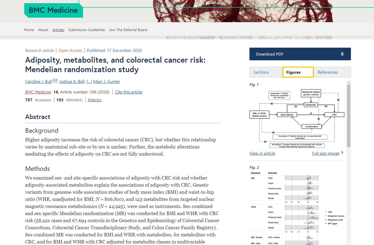 남성은 체질량지수, 여성은 허리-엉덩이 비율이 대장암 위험을 증가시킨다는 연구가 발표된 'BMC Medicine'.