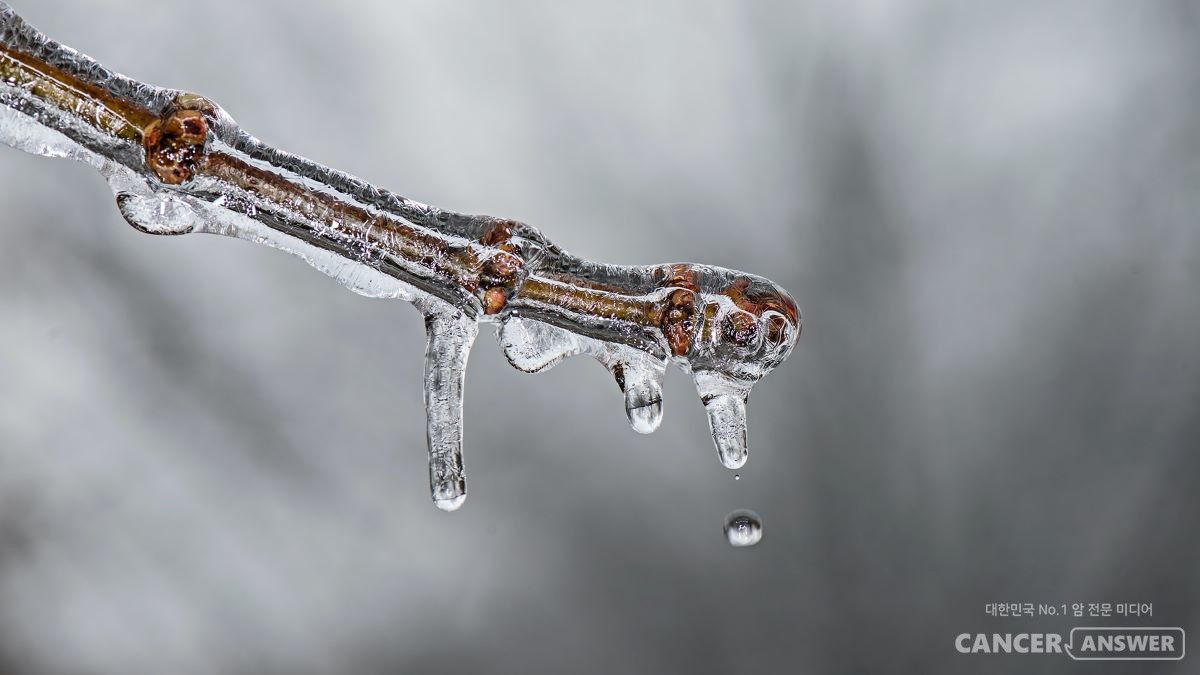 추위가 심해지면 노출된 신체 말단 부위들과 혈관이 위협받게 된다. 특히 눈은 가리기 어려운 부분이라 망막혈관폐쇄 같은 질병을 주의해야 한다. / unsplash