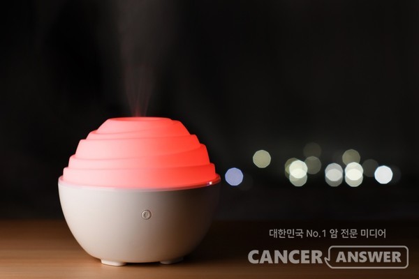 많은 사람들이 건조하다는 이유로 하루종일 가습기를 틀어놓는 경우가 많다. /픽사베이