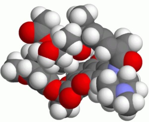 리팜피신 구조도. / 위키백과