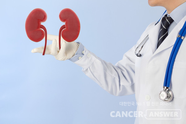 신장(콩팥)은 일단 떼어내면 기능 회복이 쉽지 않고 신부전 같은 합병증 위험이 있기 때문에 암이라고 해서 부분절제를 하는 게 좋다./게티이미지뱅크