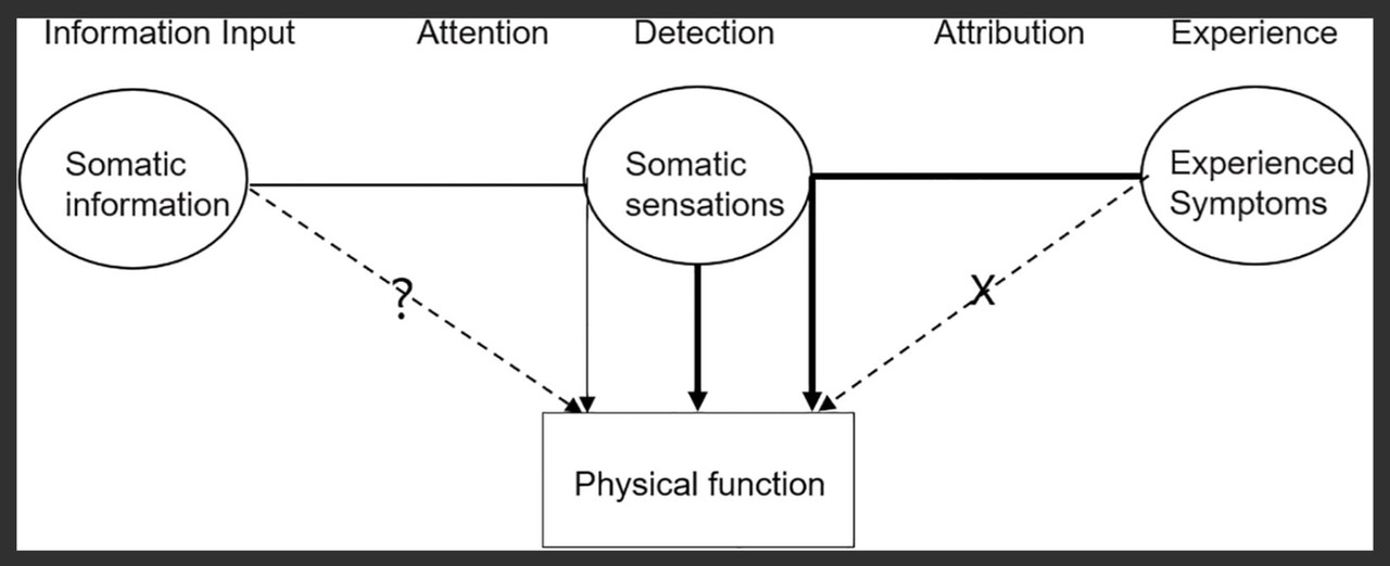 신체증상과 경험증상이 환자에게 작동하는 방식을 보여주는 도표. / 자료 PLOS ONE