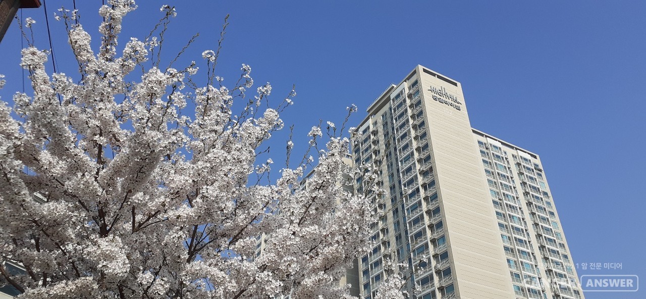 건조하고 바람 많은 봄철에 꽃가루 많은 곳을 다녀왔다면 깨끗히 씻어내 피부 트러블 등 알레르기를 방지하는 것이 중요하다. / 캔서앤서DB