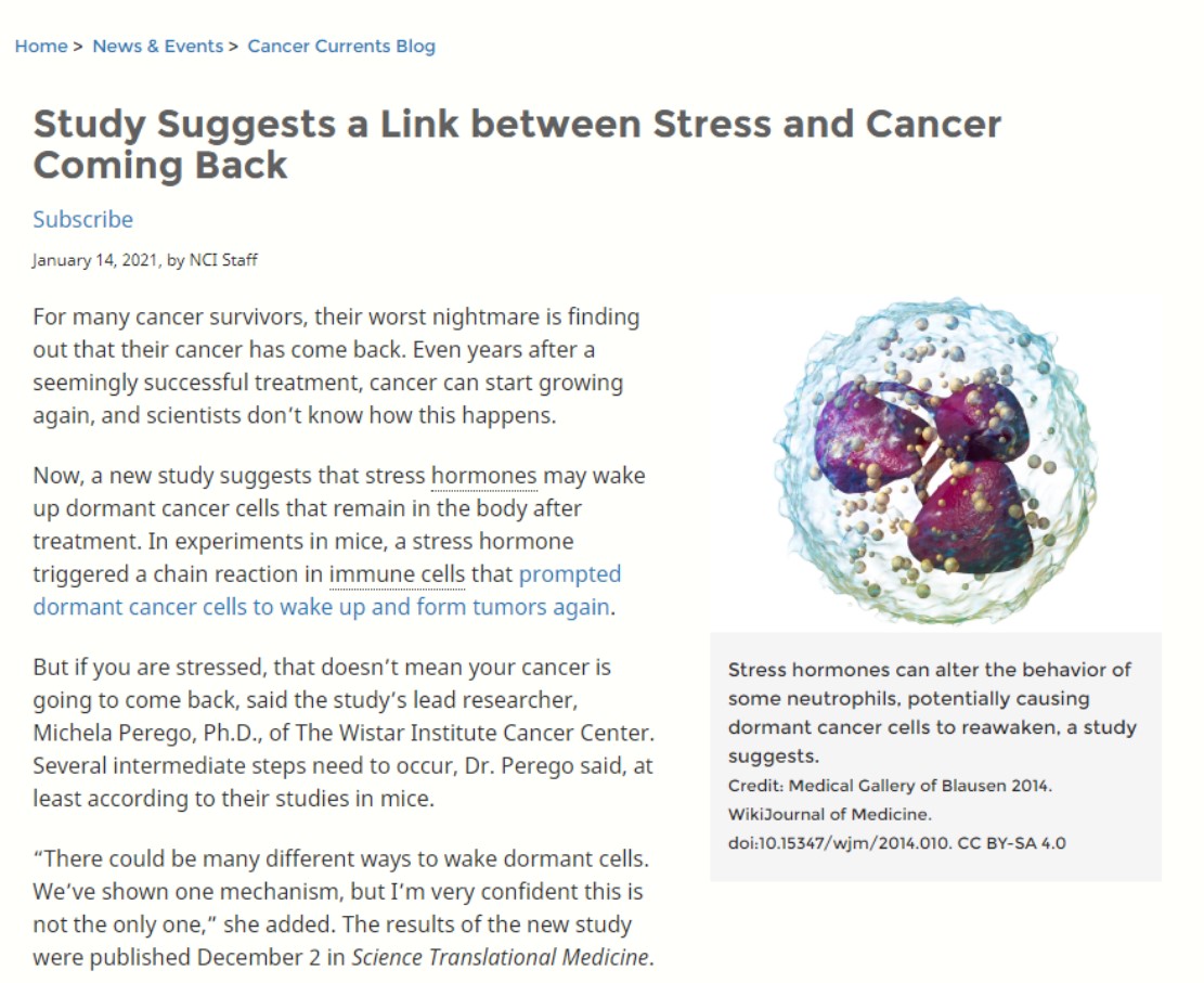 스트레스 호르몬과 휴면 중인 암세포의 관계에 대한 연구결과를 소개하는 NCI 홈페이지.