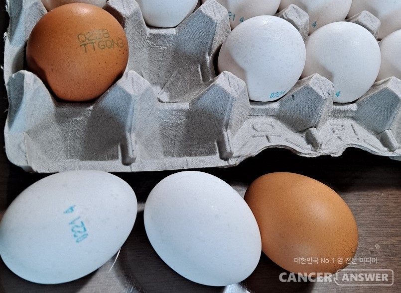 흰 달걀과 갈색 달걀의 영양학적 차이는 크지 않다는 것이 전문가들의 결론. / 캔서앤서DB