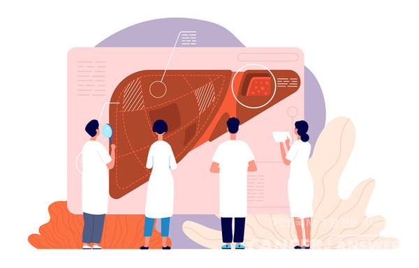 B형간염은 우리나라에서 가장 많이 발생하는 간염이지만, 예방접종을 통해 쉽게 막을 수 있다./게티이미지뱅크