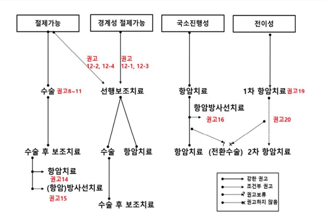가이드북 속에 담겨있는 '췌장암 치료 알고리듬'.