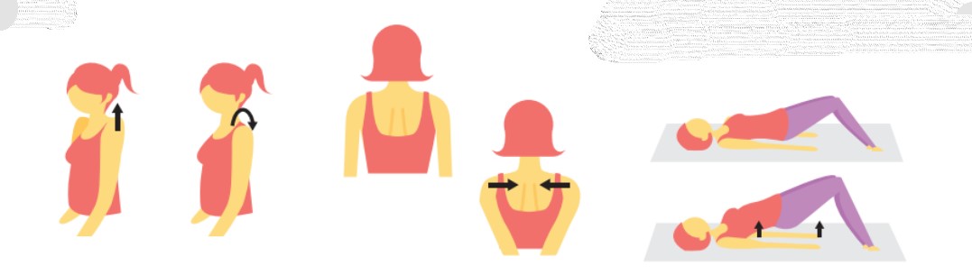 자료 서울대의대 '임산부를 위한 운동 가이드라인'