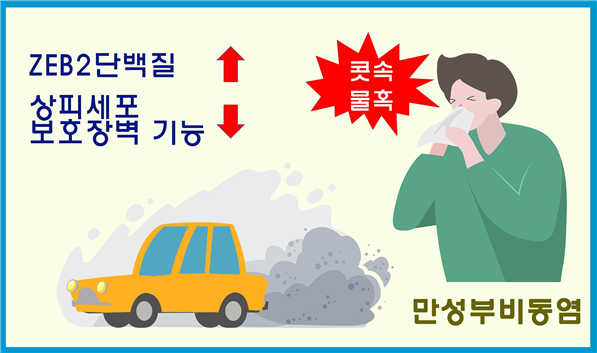 자료 서울대병원