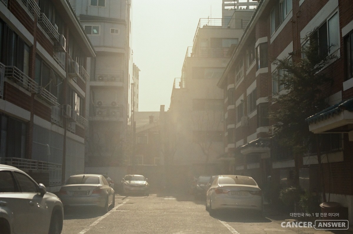 공해를 유발해 건강을 해치는 것으로 알려진 디젤연소 분진이 축농증을 악화시킨다는 연구결과가 나왔다. / unsplash