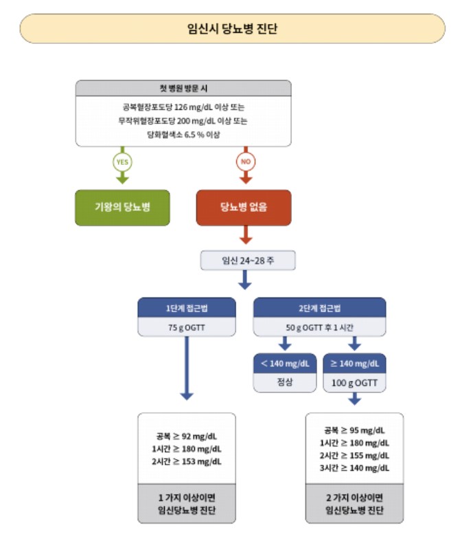 '2021 당뇨병 진료지침, 제7판' 중 일부. 임신부 당뇨병 진단 지침이 담겨있다. / 대한당뇨병학회
