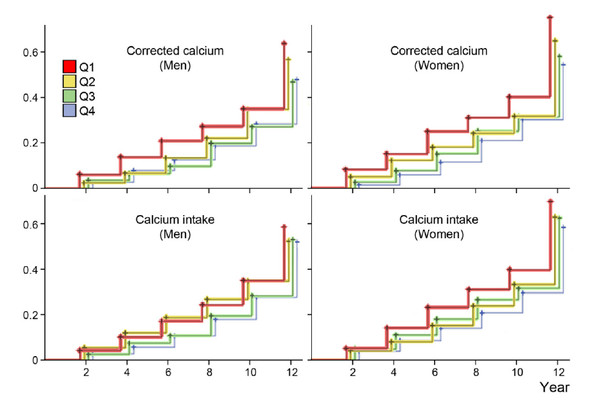 혈중 칼슘 농도와 근감소증의 밀접한 관련성을 보여주는 그래프. 칼슘 농도, 섭취량이 가장 낮은 그룹이 가장 높은 그룹보다 근감소증이 남상 1.7배, 여성 2.4배로 높은 것으로 보여준다