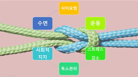 엠디앤더슨암센터 로렌조 코헨 박스가 제시하는 6가지 통합치료법.