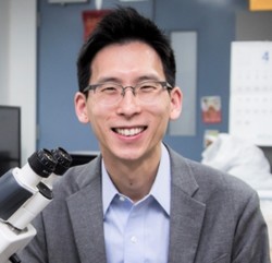 정아람 고려대 바이오의공학부 교수.