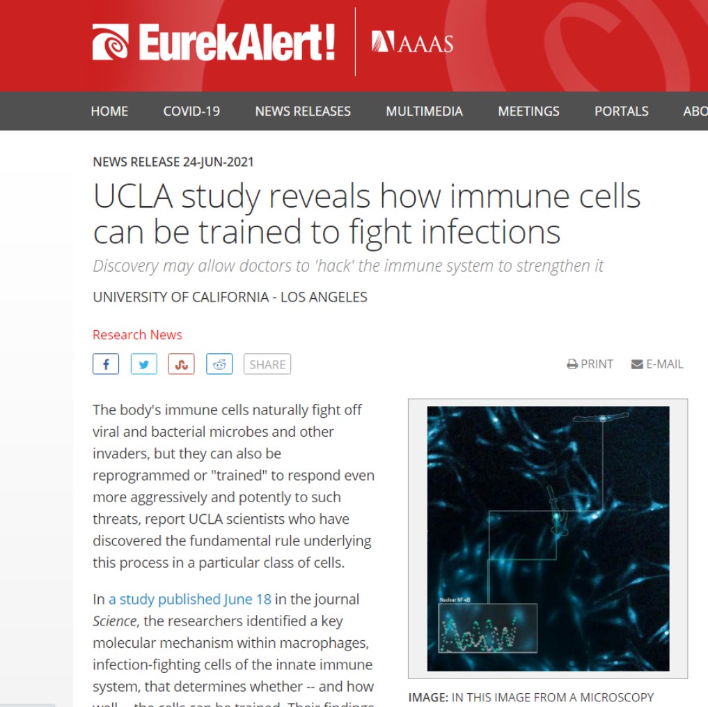 면역세포를 훈련시켜 그 기능을 더 강화하는 메커니즘을 밝힌 연구를 소개한 미국 과학진흥협회 eurekalert.