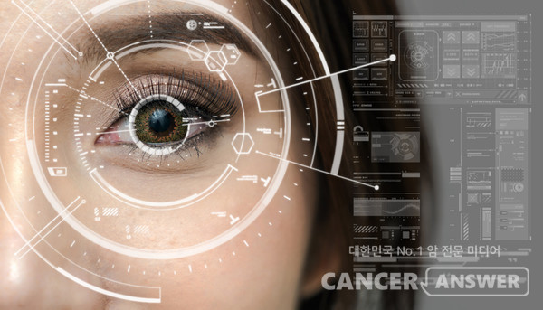 AI를 활용한 눈 망막검사를 통해 심혈관질환 발생 위험도를 미리 알 수 있는 방법을 세브란스 박성하 교수 등 공동연구팀이 개발했다./게티이미지뱅크