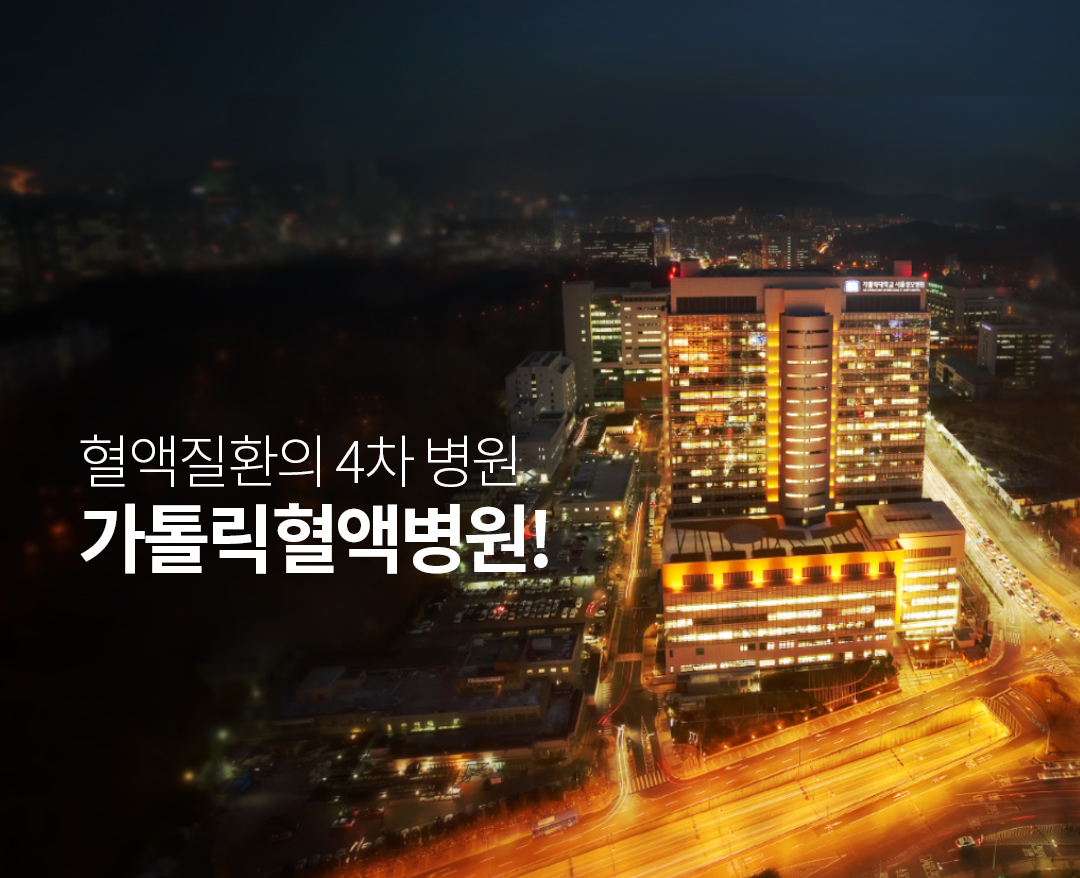 자료 서울성모병원 혈액병원