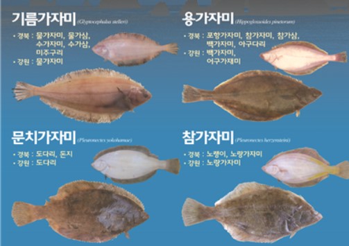 자료 해양수산부