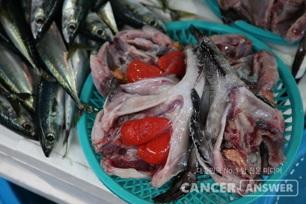 수은오염이 낮은 어패류는 크기가 작은 것, 수은오염이 높은 어패류는 대체로 크기가 크다. 수은 등 중금속에 오염된 생선은 가급적 피하는게 좋다./게티이미지뱅크