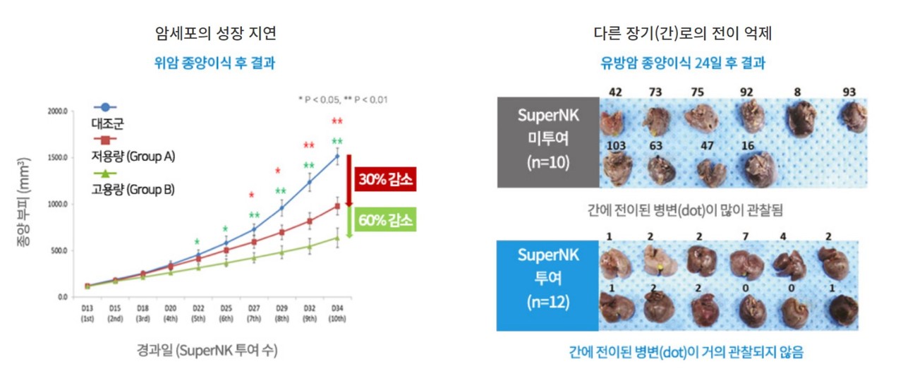 엔케이맥스 홈페이지가 소개하고 있는 차세대 항암 면역체료제 슈퍼NK의 효능.